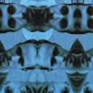 Meet your Posher, Steve